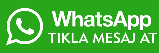 web tasarım izmir